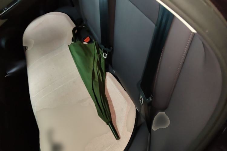 Used Leapmotor B10 2025 510 Joyful Edition Left Rear Seat