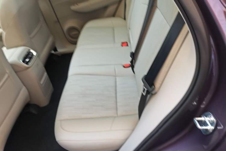 Used Leapmotor B10 2025 510 Joyful Edition Left Rear Seat
