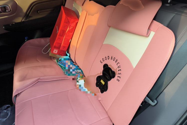 Used Leapmotor B10 2025 510 Comfort Edition Left Rear Seat