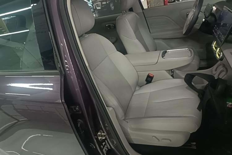 Used Leapmotor B10 2025 510 Joyful Edition Right Front Seat