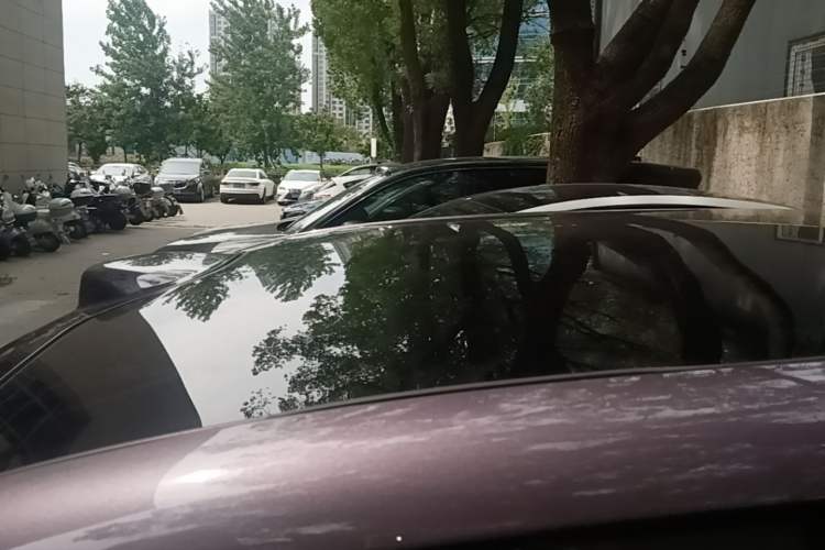 Used Leapmotor B10 2025 510 LiDAR Version Roof