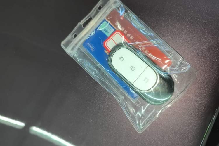 Used Leapmotor B10 2025 510 Joyful Edition Vehicle Key