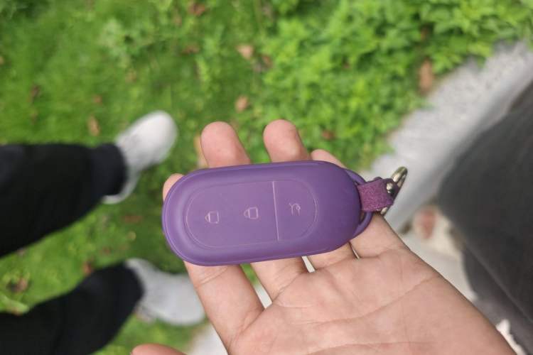 Used Leapmotor B10 2025 510 Joyful Edition Vehicle Key