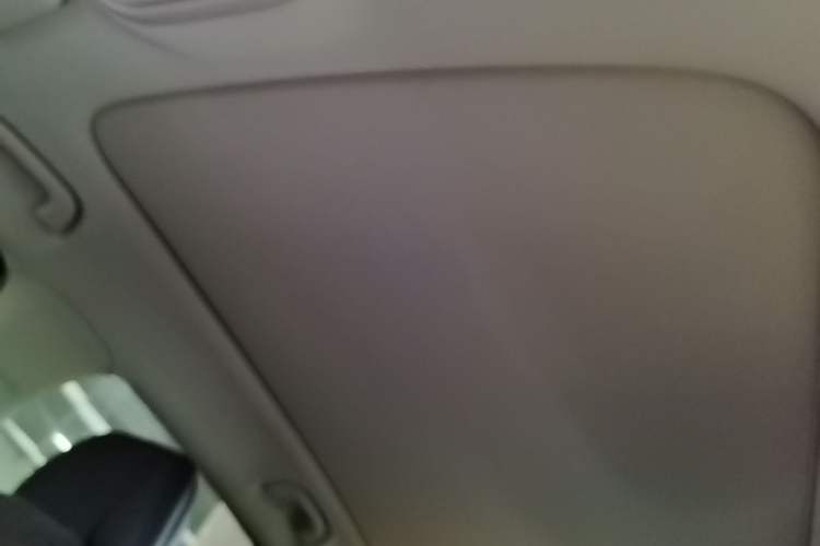 Used Leapmotor B10 2025 510 Joyful Edition Headliner