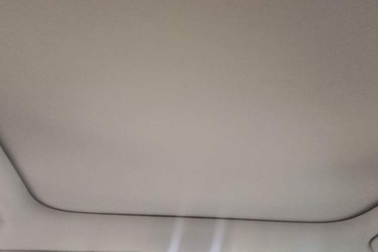 Used Leapmotor B10 2025 510 Joyful Edition Headliner
