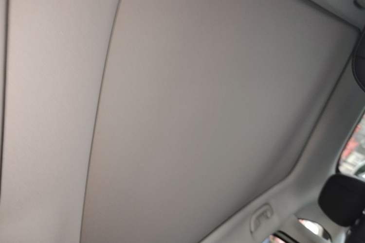 Used Leapmotor B10 2025 510 Joyful Edition Headliner