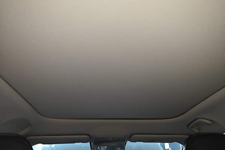 Used Leapmotor B10 2025 510 Joyful Edition Headliner