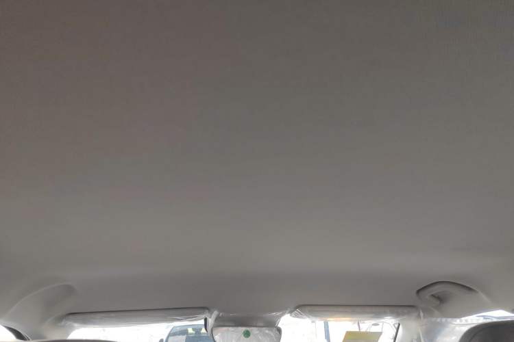 Used Leapmotor B10 2025 510 Comfort Edition Headliner