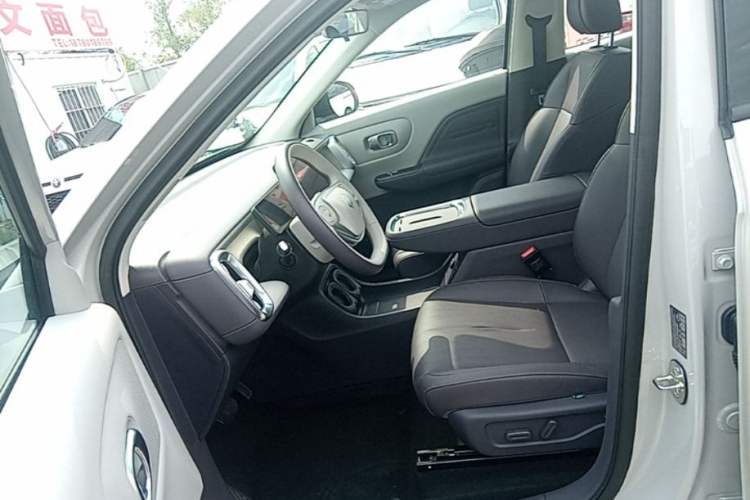 Used Leapmotor B10 2025 510 Joyful Edition Left Front Seat