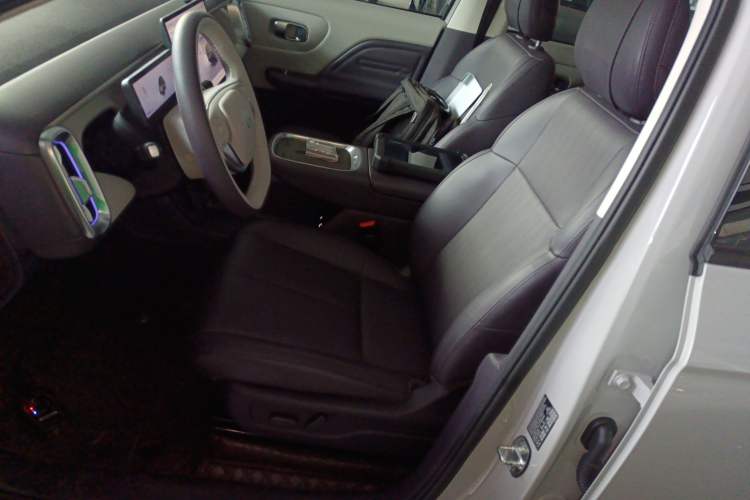 Used Leapmotor B10 2025 510 Joyful Edition Left Front Seat