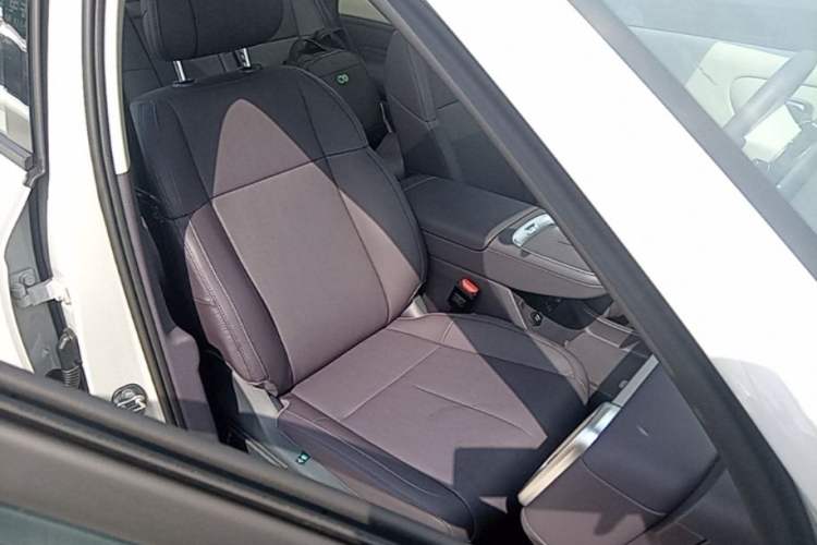 Used Leapmotor B10 2025 510 Joyful Edition Right Front Seat