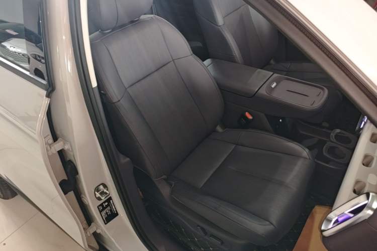 Used Leapmotor B10 2025 510 Joyful Edition Right Front Seat