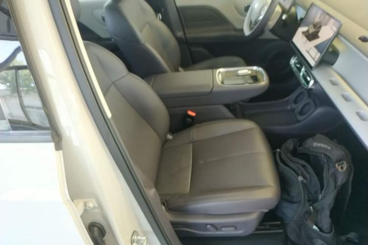 Used Leapmotor B10 2025 510 Joyful Edition Right Front Seat