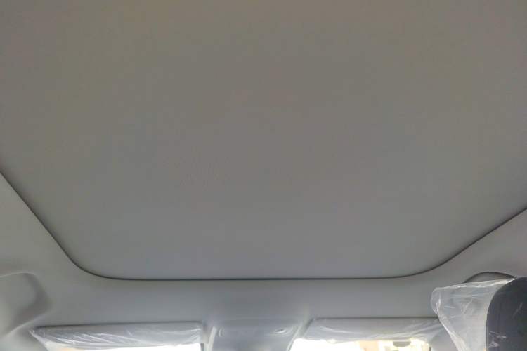 Used Leapmotor B10 2025 510 Joyful Edition Headliner