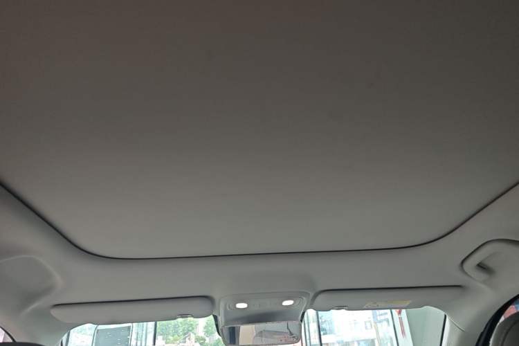 Used Leapmotor B10 2025 510 Joyful Edition Headliner
