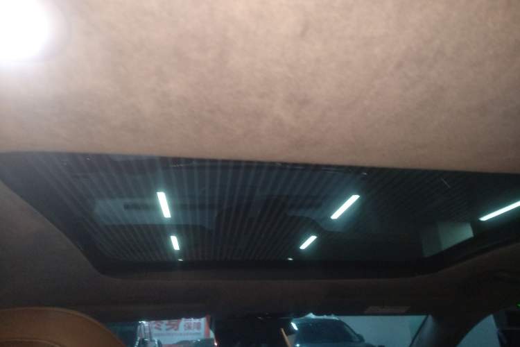 Used Leapmotor C01 2023 630 All-Wheel-Drive Performance Version Headliner