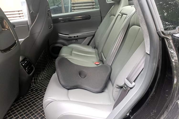 Used Leapmotor C01 2022 Rear-Drive Long-Range Version Left Rear Seat