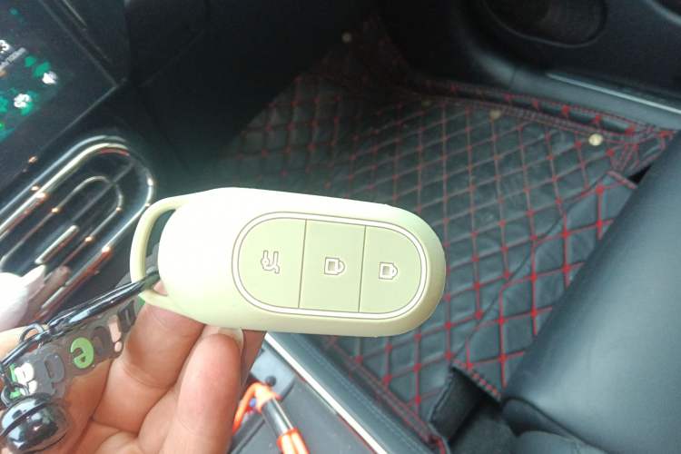 Used Leapmotor C01 2022 Four-Wheel Drive Dual-Motor Performance Version Vehicle Key