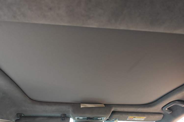 Used Leapmotor C01 2022 Rear-Drive Long-Range Version Headliner