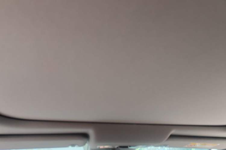 Used Leapmotor C01 2022 Rear-Drive Standard Range Version Headliner