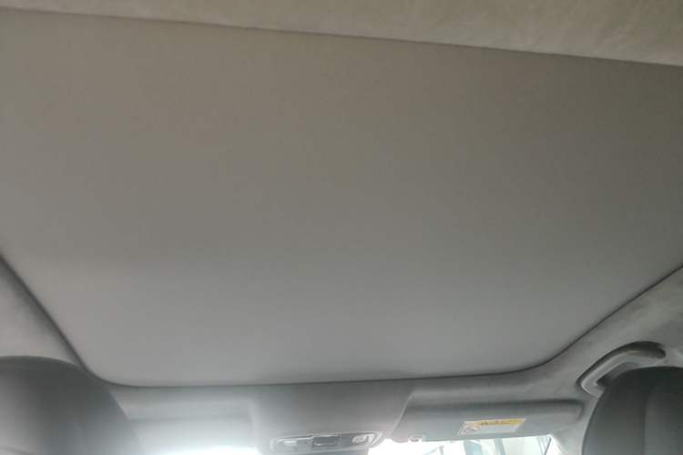 Used Leapmotor C01 2022 Rear-Drive Ultra-Long Range Version Headliner