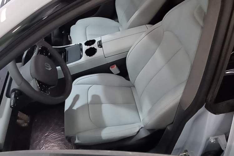 Used Leapmotor C01 2022 Rear-Drive Long-Range Version Left Front Seat
