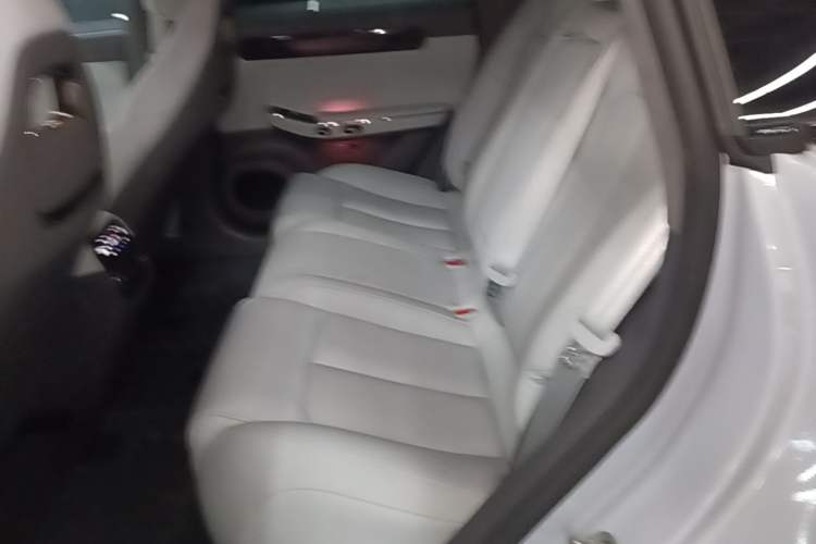 Used Leapmotor C01 2022 Rear-Drive Long-Range Version Left Rear Seat