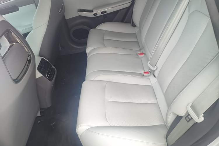 Used Leapmotor C01 2022 Four-Wheel Drive Dual-Motor Performance Version Left Rear Seat