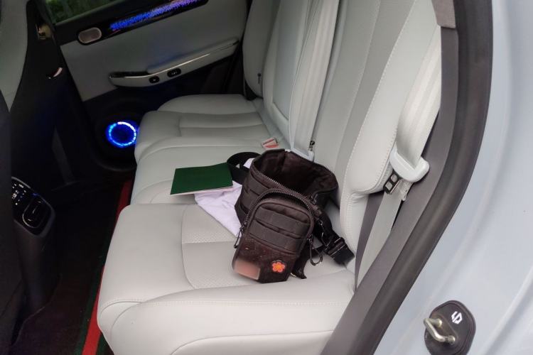 Used Leapmotor C01 2022 Rear-Drive Long-Range Version Left Rear Seat