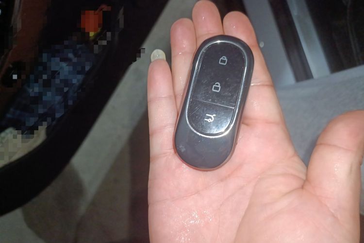 Used Leapmotor C01 2022 Rear-Drive Long-Range Version Vehicle Key