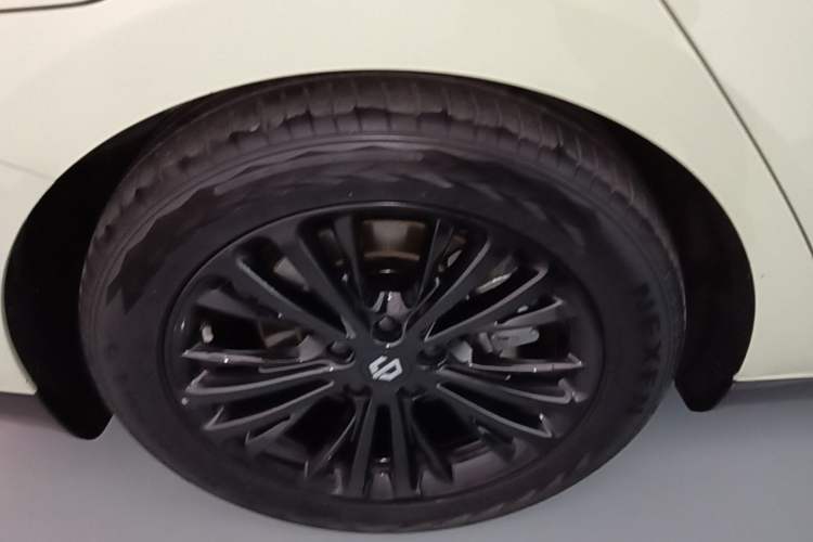 Used Leapmotor C01 2022 Rear-Drive Long-Range Version Exterior 5