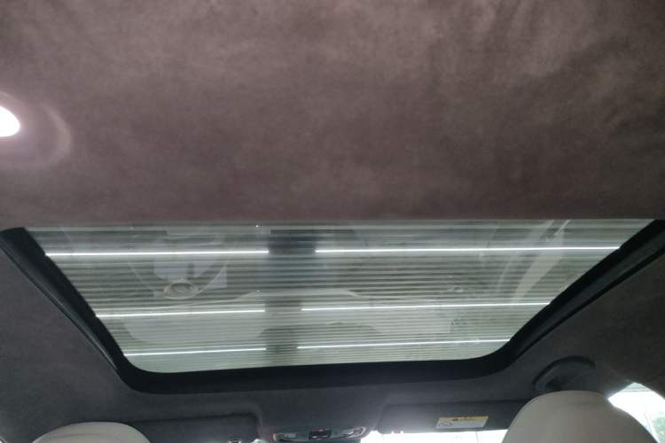 Used Leapmotor C01 2022 Rear-Drive Long-Range Version Headliner