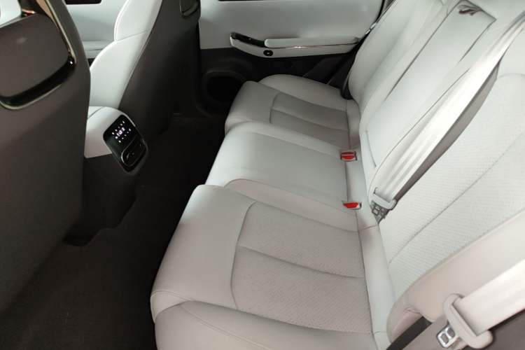 Used Leapmotor C01 2022 Rear-Drive Ultra-Long Range Version Left Rear Seat