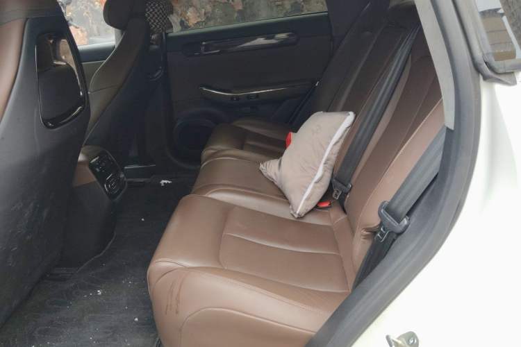 Used Leapmotor C01 2022 Rear-Drive Ultra-Long Range Version Left Rear Seat