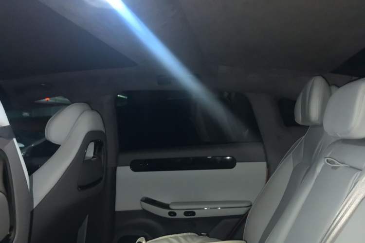 Used Leapmotor C01 2022 Rear-Drive Long-Range Version Headliner