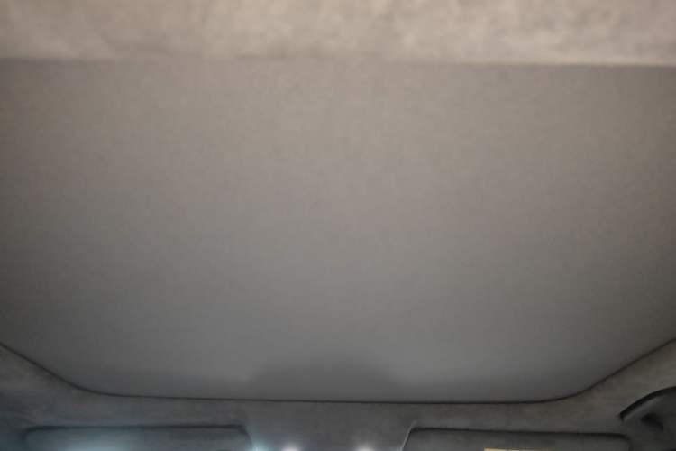 Used Leapmotor C01 2022 Rear-Drive Long-Range Version Headliner