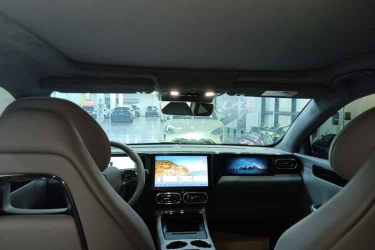 Used Leapmotor C01 2022 Rear-Drive Long-Range Version Headliner