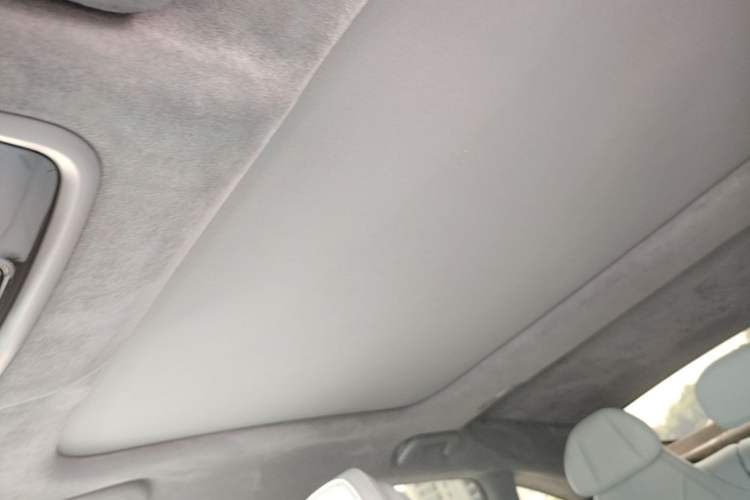 Used Leapmotor C01 2022 Rear-Drive Ultra-Long Range Version Headliner