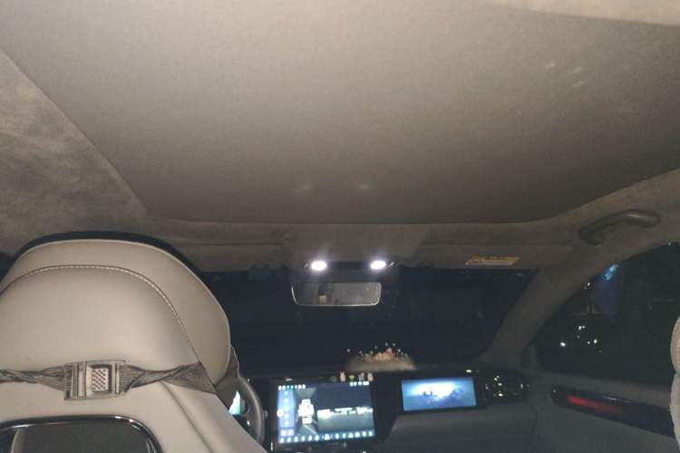 Used Leapmotor C01 2022 Rear-Drive Standard Range Version Headliner