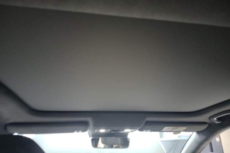 Used Leapmotor C01 2022 Rear-Drive Long-Range Version Headliner