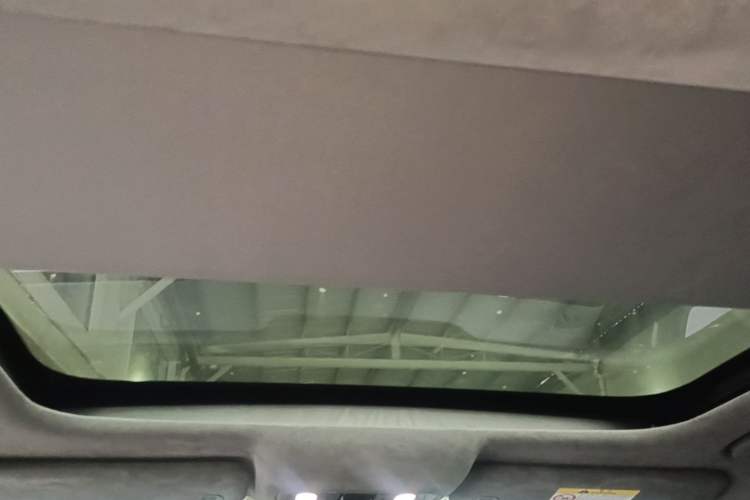 Used Leapmotor C01 2022 Rear-Drive Long-Range Version Headliner