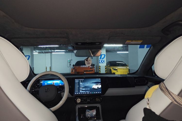 Used Leapmotor C01 2022 Rear-Drive Long-Range Version Headliner