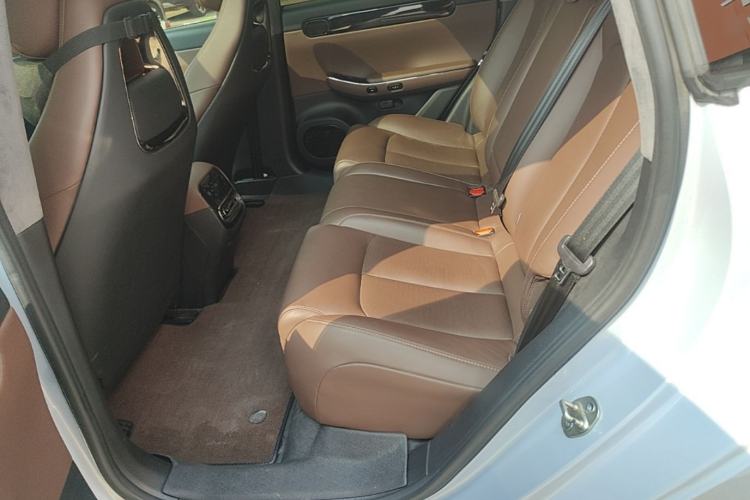 Used Leapmotor C01 2022 Rear-Drive Long-Range Version Left Rear Seat