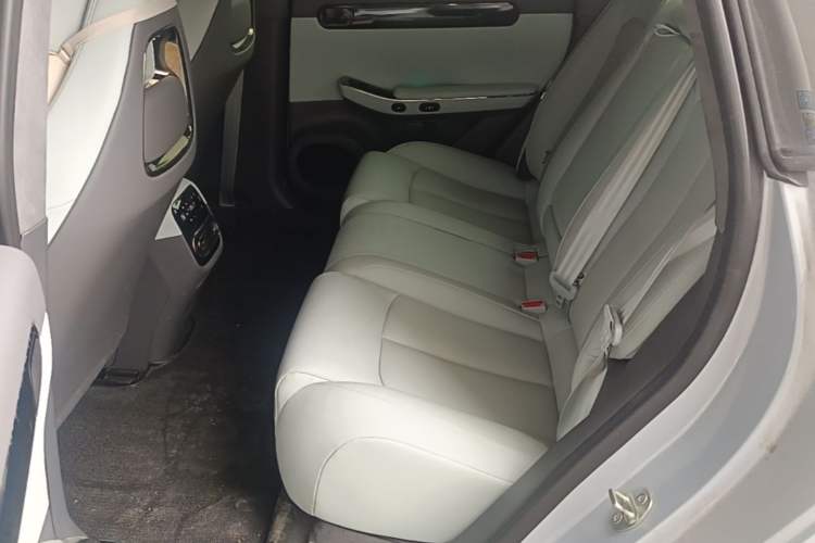 Used Leapmotor C01 2022 Rear-Drive Long-Range Version Left Rear Seat