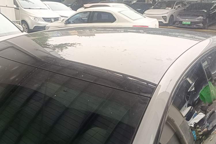 Used Leapmotor C01 2022 Rear-Drive Long-Range Version Roof