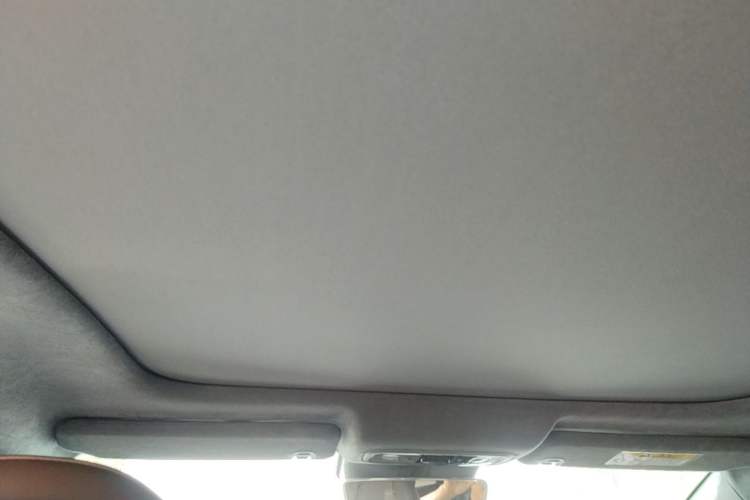 Used Leapmotor C01 2022 Rear-Drive Long-Range Version Headliner