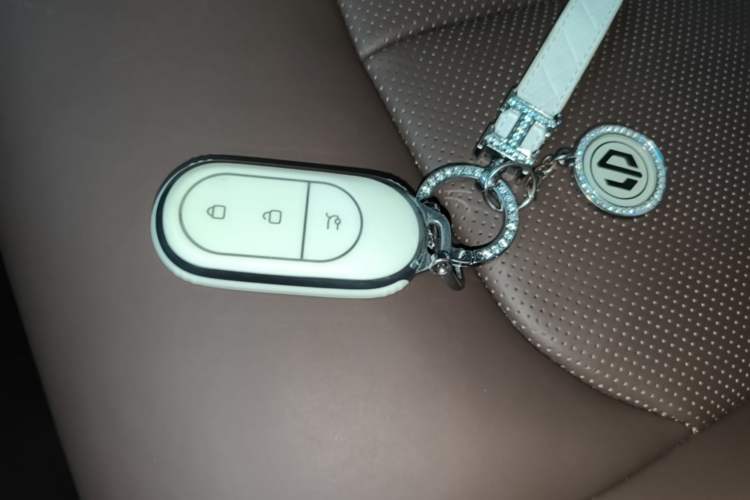 Used Leapmotor C01 2022 Rear-Drive Ultra-Long Range Version Vehicle Key