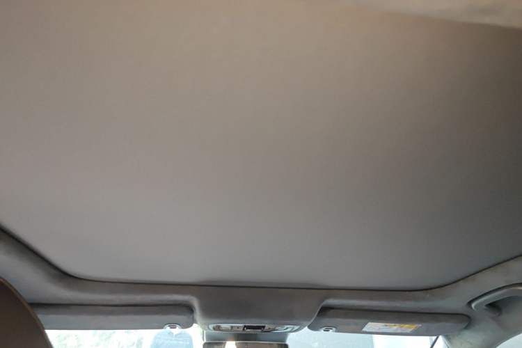 Used Leapmotor C01 2023 606 Smart Edition Headliner
