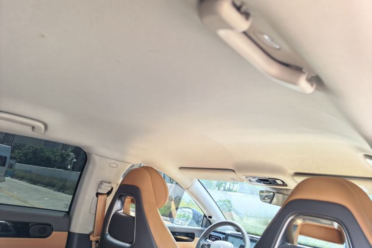 Used Leapmotor C01 2023 525 Smart Drive Edition Headliner