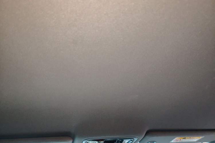 Used Leapmotor C01 2023 525 Smart Drive Edition Headliner